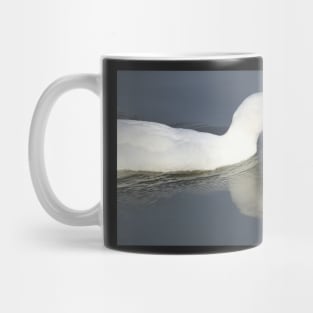 Duck Reflection, South Astralia Mug